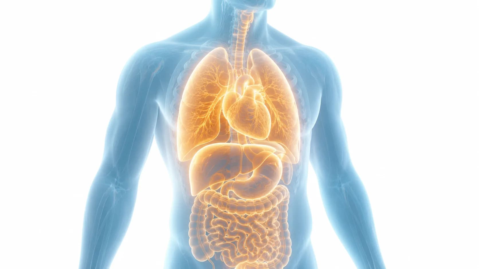Consulta de Oncología — Segunda Opinión y Apoyo